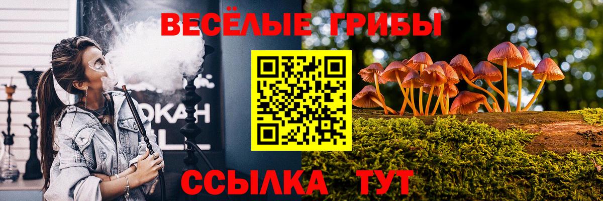Галлюциногенные грибы GOLDEN TEACHER  Псилоцибиновые грибы Magic Shrooms  Гай  Вход с VPN 