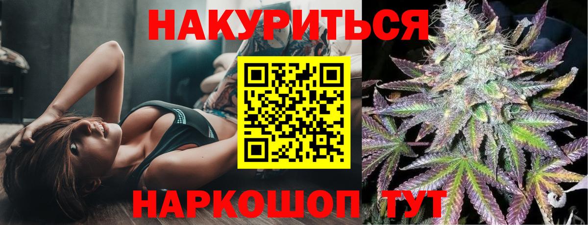 Каннабис план Гай